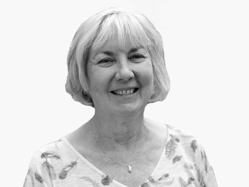 Prof. Helen Gleeson OBE